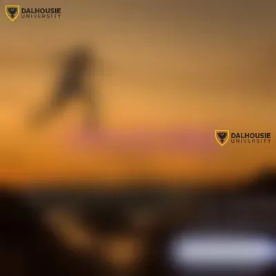 aaaaa