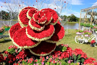 TEst223232